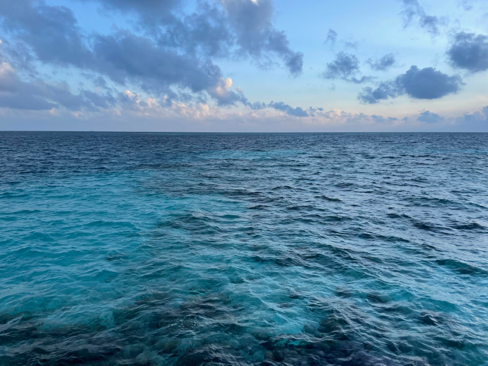 Challenges in the Testing of Seawater Samples - Webinar Recording